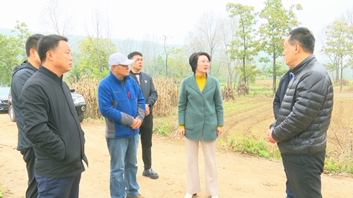 代县长李维芳调研奶山羊产业项目建设